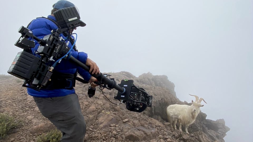 e20d38a6-3aa8-405d-97ad-cb02b7c33c7d